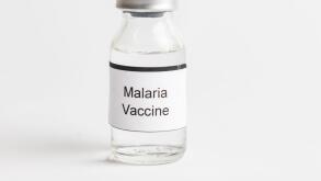 A Medical Vial with a label reading Malaria Vaccine