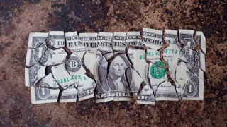 Torn US Dollar Bill USA Dollar Bill