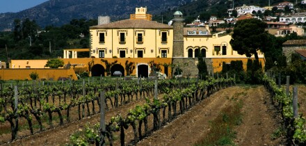 Spain wine Girona Roses Penedes Spain Wine Spain Spanish Wine