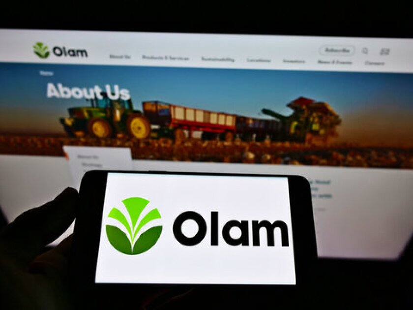 olam-adobe-crystal.jpg