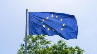 An European Union (EU) flag waving with a tree in the background.
