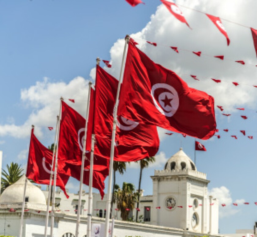 tunisia-flags-for-ifis.jpg