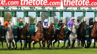 Horse Racing - 2014 Irish Champions Weekend - Day One - Leopardstown Racecourse