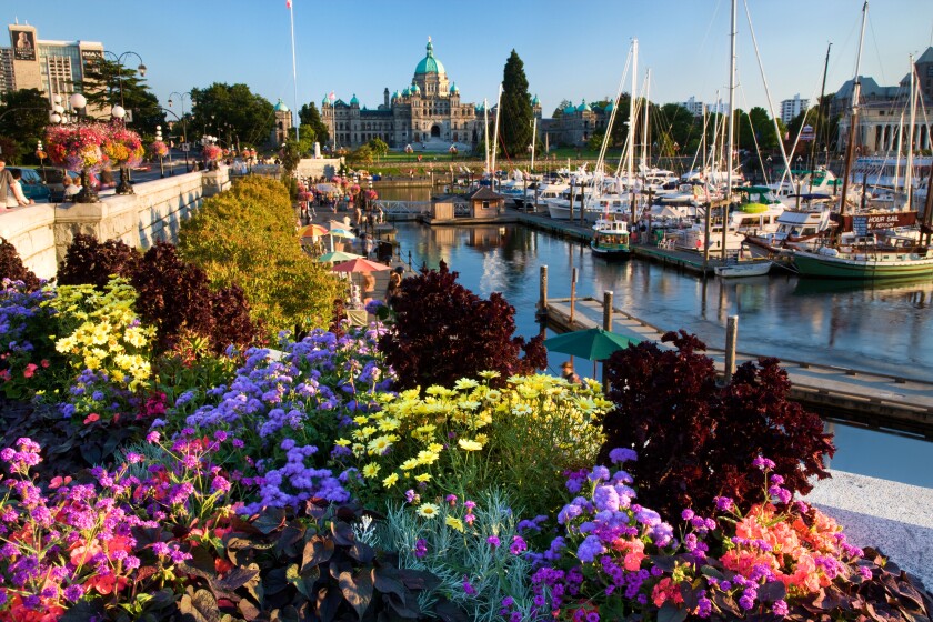 The Legislative or Parliament Buildings located on the Inner Harbour, Victoria, Vancouver Island, British Columbia, Canada.