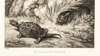 A tortoise overtakes a sleeping hare in a race. The hare and the tortoise. Illustration of a fable by Greek author Aesop. Copperplate etching drawn and engraved from life by Samuel Howitt from his own A New Work of Animals, Principally Designed from the F