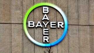 Bayer_logo_PA_230x150