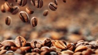 coffee beans px230 for gc