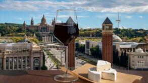 Glass of red wine with brie cheese against view of  The Spain Square in Barcelona, Spain