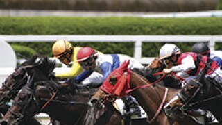 Horse race