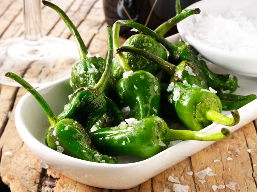 Whole griddled Padron peppers snack with sea salt