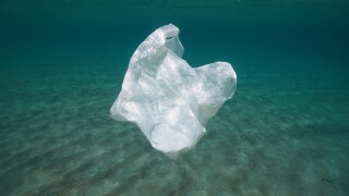 Ocean plastic bag pollution from Alamy 17May21 575x375