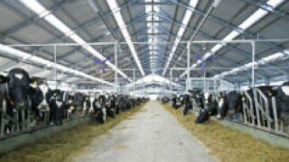 Agrokor_230