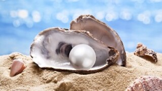 Pearl in shell.jpg
