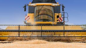 close front view of modern combine harvester in action.