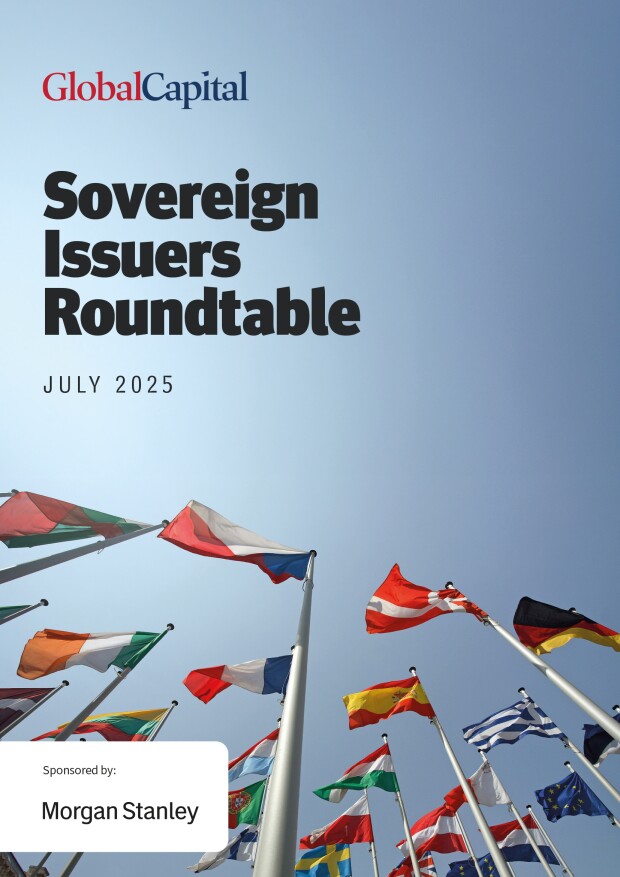 Sovereign-Issuers-Roundtable---Jul-2025-1.jpg