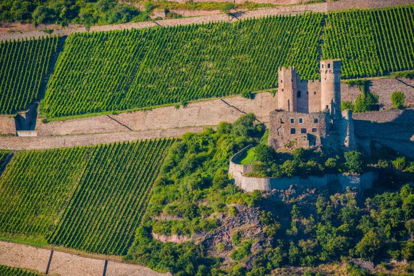 German Vineyards and the Castle Scenic Landscape. Frankfurt Area, Germany.