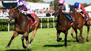 Horse race from Alamy 20Dec24 575x375.jpg
