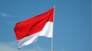 Indonesia Flag
