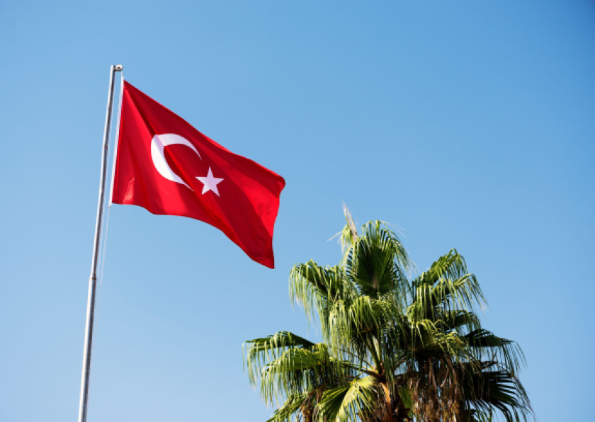 Turkey flag blue sky palmtree Alamy 02May24.png