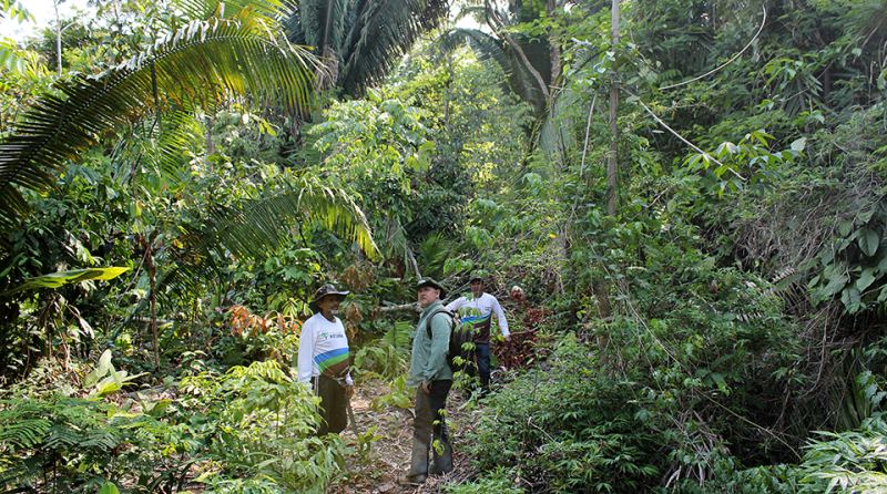 Euromoney Will Brazil’s rural law limit carbon offsetting project volume? Euromoney Will Brazil’s rural law limit carbon offsetting project volume?