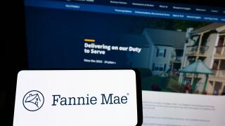 Person holding cellphone with logo of US financial company Fannie Mae (FNMA) on screen in front of business webpage. Focus on phone display.