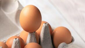 One best egg rises above others eggs. concept of leadership in team