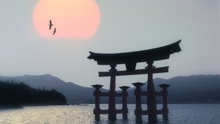 JP - MIYAJIMA: Torii Gate at Itsukushima on Miyajima Island