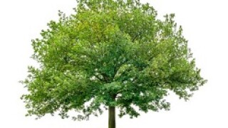 UniCredit green bonds