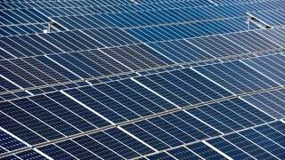 Greenbolt_alamy_575_375