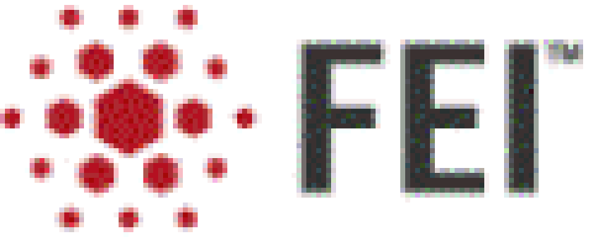 fei-logo-small.gif