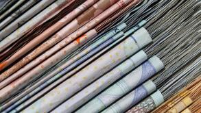 Euros. Image shot 11/2010. Exact date unknown.