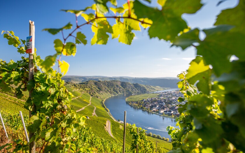 Mosel Panorama