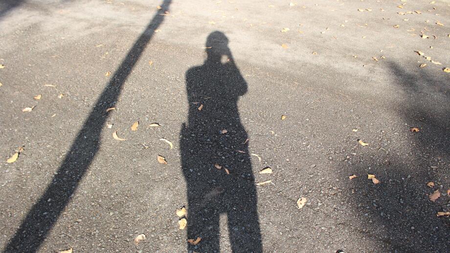 shadow of a person and a tree on the ground