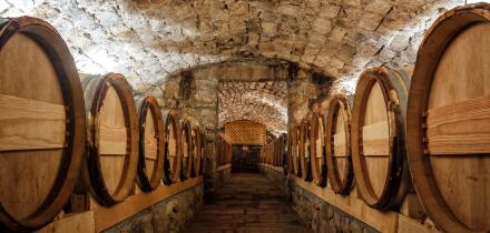 Wine cellar with row of wine barrels
