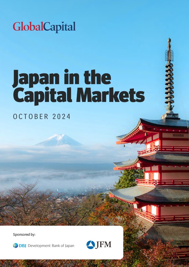 Japan-in-the-Capital-Markets-Oct-2024.jpg
