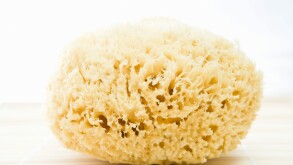 Close up of a bath sponge. Image shot 2009. Exact date unknown.