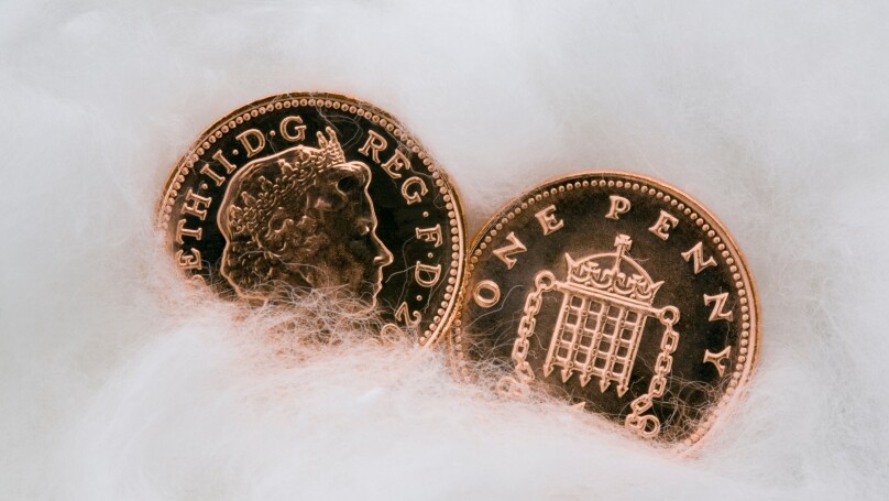 Two copper penny coins in close up wrapped in cotton wool for protection. Protecting money and austerity concept. UK