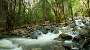Scenic view of river flowing over rocks in forest, Yosemite National Park, California, U.S.A.
