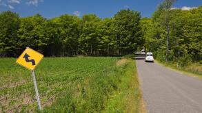 Two minivans driving on a country through a forest of deciduous trees in summer.