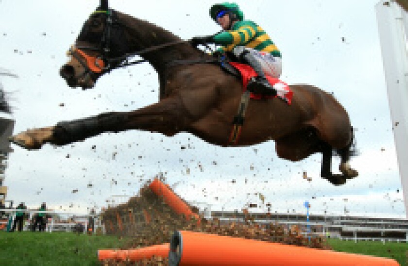 Cheltenham_Horses_2_16March2017_PA_230x150