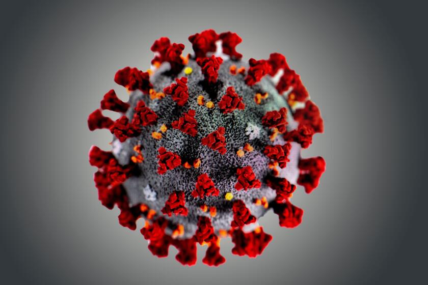 A model of a coronavirus COVID 19 particle