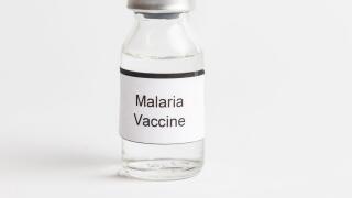 A Medical Vial with a label reading Malaria Vaccine