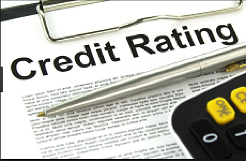 Credit Rating 230