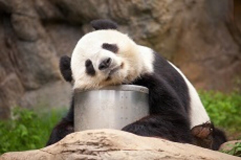 panda_sleeping_230px