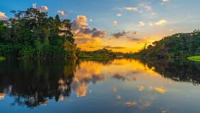 Reflection of a sunset in the Amazon Rainforest Basin. The countries of Brazil, Bolivia, Colombia, Ecuador, Peru, Venezuela, Guyana and Suriname.