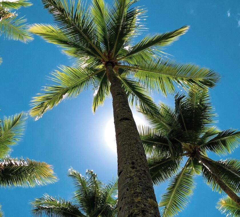 Impact of corporate income taxation on government grants in Brazil