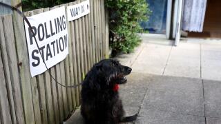 London, UK. 4th July, 2024. A dog waits for its master outside a polling station in London, Britain on July 4, 2024. Millions in Britain began to cast their votes in the general election on Thursday, as around 40,000 polling stations across the country op