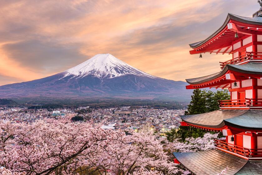 Fujiyoshida, Japan at Chureito Pagoda and Mt. Fuji in the spring with cherry blossoms.