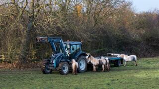 A farmer feeding his horses, seen from the A46 towards Newark on Trent, Nottinghamshire, UK