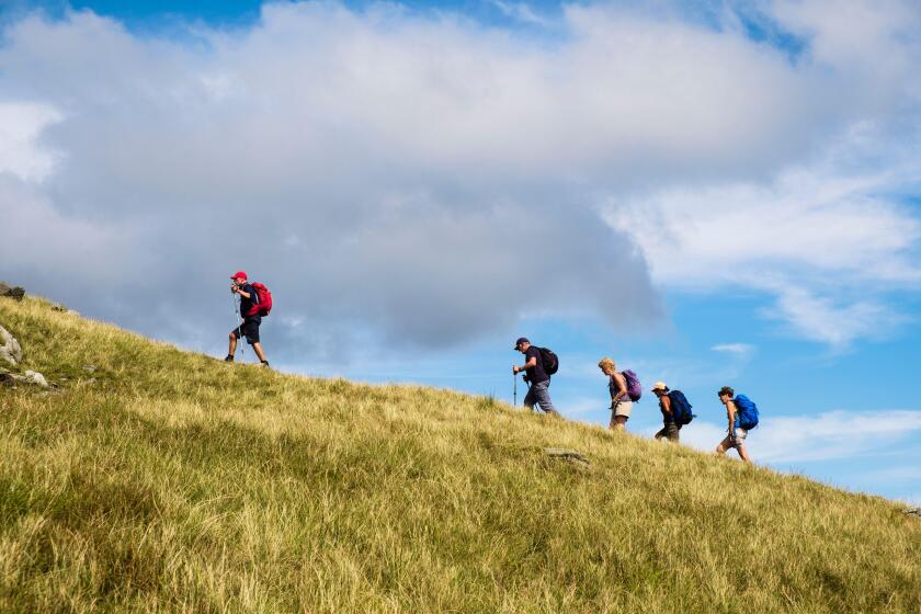 Line of hikers hiking up a hill following a leader on Moel Lefn"s grassy mountainside in Snowdonia National Park. Gwynedd, Wales, UK, Britain